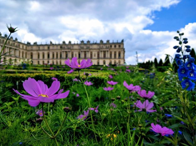 Flowers in France