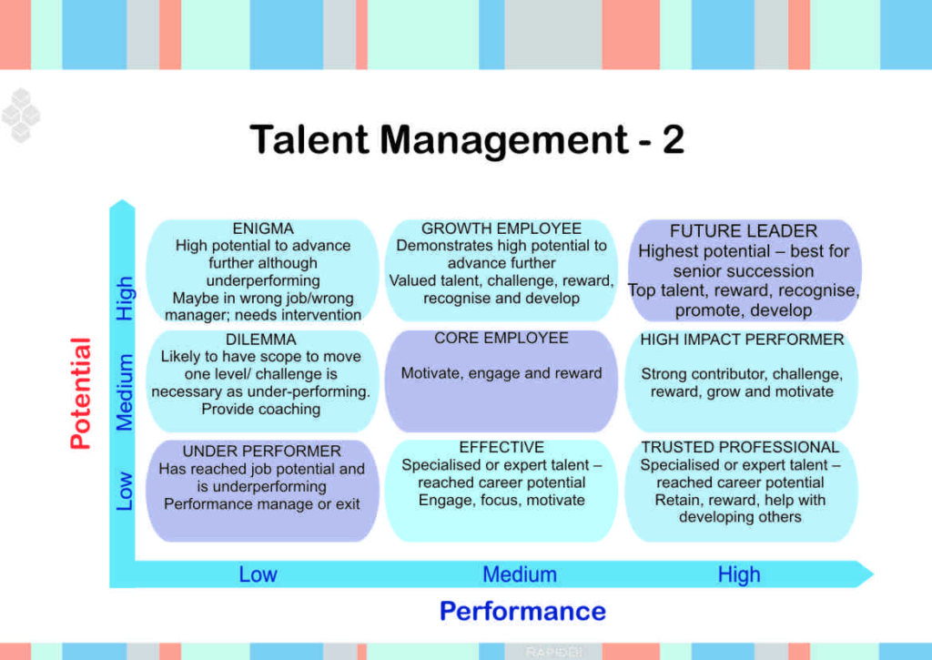 The McKinsey 9-box model (taken from RapidBI)